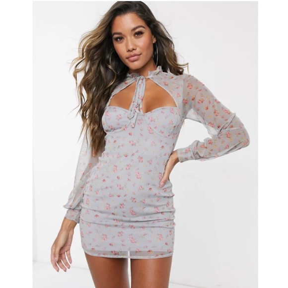 NEW ASOS Dobby Mesh Floral Print Mini Dress - Picture 2 of 13